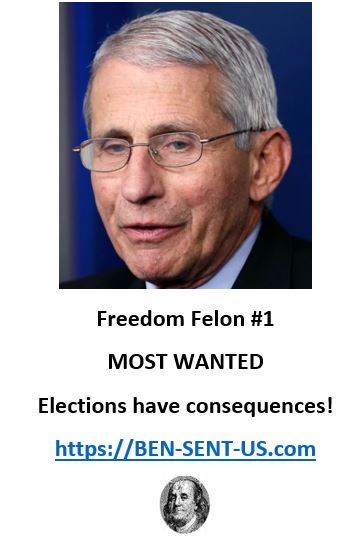 freedom felon_1